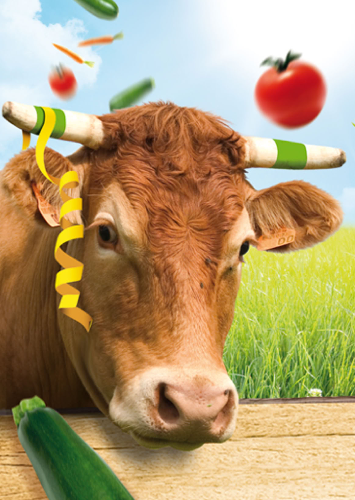 FDJ/Illustration du Morpion