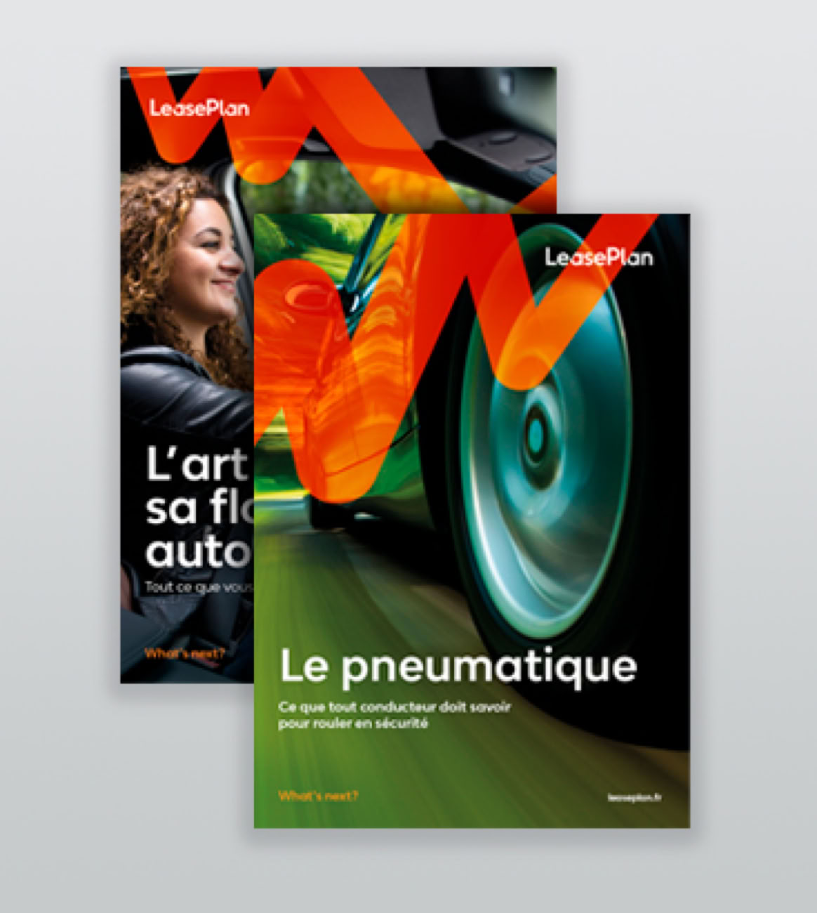 FDJ/Illustration du Morpion